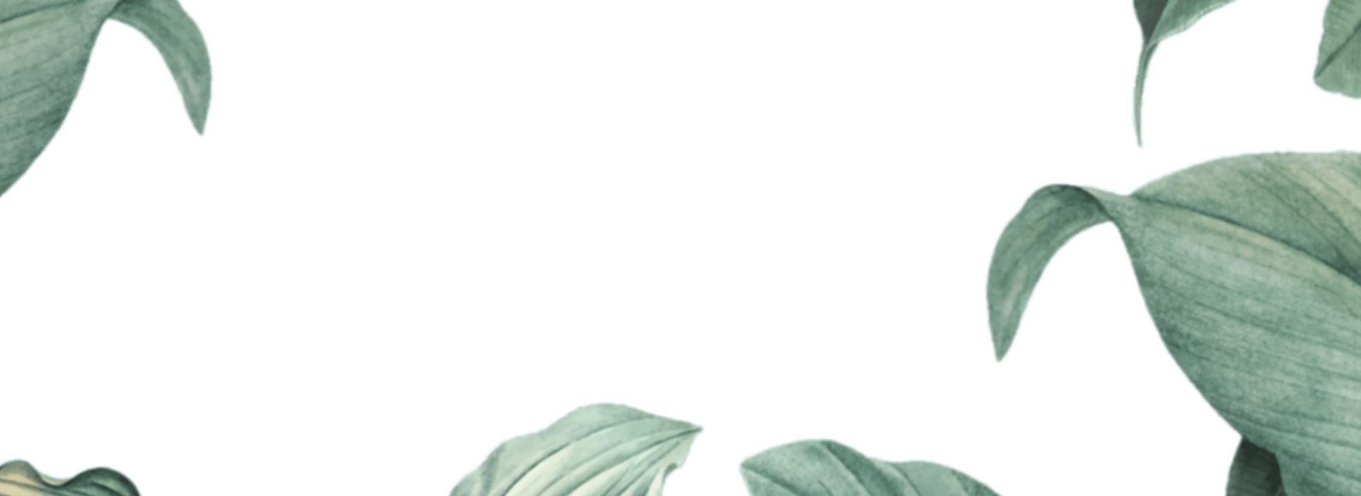 img-slider2.png