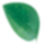 img-slider3-01.png