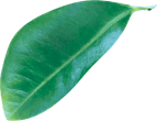 img-slider3.png